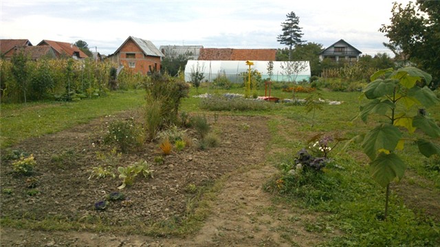 Nova cvjetna gredica